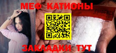 индика Кингисепп