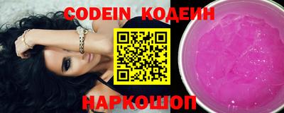 индика Кингисепп