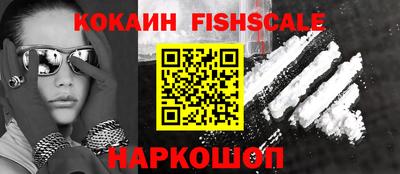 индика Кингисепп