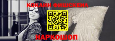 индика Кингисепп