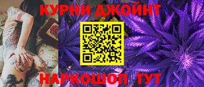 индика Кингисепп