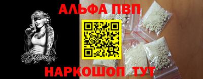 индика Кингисепп