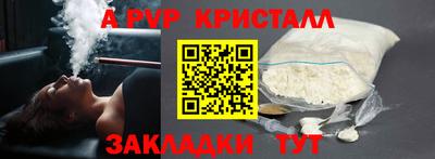 индика Кингисепп