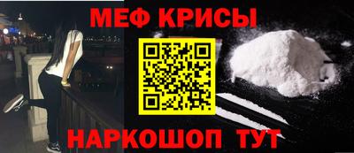 индика Кингисепп